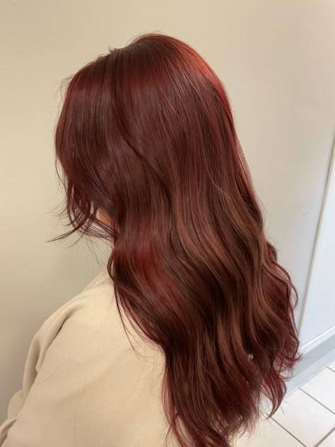 Medium Brown With Red Tones, Light Brown Hair Dyed Red, Candlelit Hair Color, Brown Red Hair Aesthetic, Mohagany Red Brown Hair Color, Asian Reddish Brown Hair, Sangria Red Hair, Strawberry Burnett Hair, Soft Cinnamon Hair Color