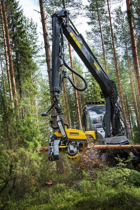 Ponsse Ergo 8-wheeler: grabs trees, fells them, strips them and sections them in seconds Logging Industry, Logging Equipment, Heavy Construction Equipment, Forestry Equipment, Terrain Vehicle, All-terrain Vehicles, Types Of Vehicle, Heavy Machinery, Forest Landscape