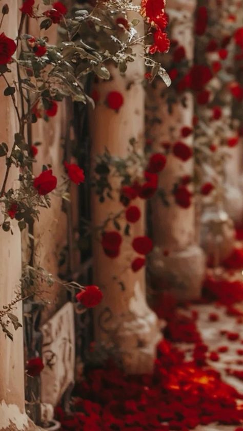 Aesthetic Red Rose Wallpaper, Red Royalcore, Red Roses Wallpaper Aesthetic, Ruby Red Aesthetic, Rose Petals Aesthetic, Juliette Aesthetic, Red Aesthetic Widget, Rose Widget, Red Rose Aesthetic