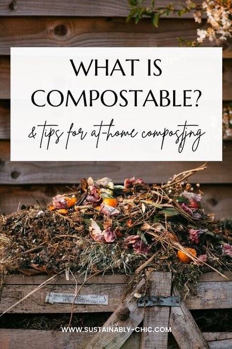 What is Compostable? & Easy Tips for Composting — Sustainably Chic Compost Tea Recipe, Food Waste Recycling, Start Composting, Diy Compost, How To Make Compost, Compost Tea, Composting At Home, Zero Waste Kitchen, Yard Waste