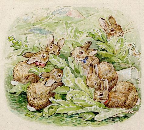 It’s starting to feel like spring in London! Here’s an adorable page from Beatrix Potter’s 1909 book 'The Tale of the Flopsy Bunnies'. The rabbits are feasting on lettuce leaves that have been left out by farmer Mr McGregor. Do you have a favourite Beatrix Potter character? 🐰💐🌱 #BeatrixPotter #spring #bunnies #PeterRabbit #FlopsyBunnies #rabbits #BritishMuseum Beatrix Potter Illustrations, Beatrice Potter, Peter Rabbit And Friends, Benjamin Bunny, Potter Art, Cross Stitch Pictures, Beatrix Potter, Peter Rabbit, British Museum