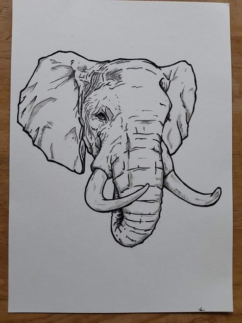 Elephant Tattoo Men, Elephant Drawing Realistic, Warthog Drawing, Elephant Art Tattoo, Elephant Head Drawing, Neverland Tattoo, Elephant Art Drawing, Elephant Head Tattoo, Bald Eagle Art