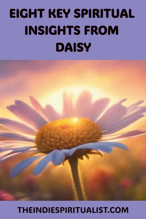 Beyond its simple beauty, the daisy holds eight profound spiritual meanings, inviting you on a journey of discovery and transformation. Daisy Spiritual Meaning, Daisy Field, Animal Symbolism, Flower Meanings, Beacon Of Hope, Elements Of Nature, Spiritual Meaning, Vibrant Flower, Simple Beauty