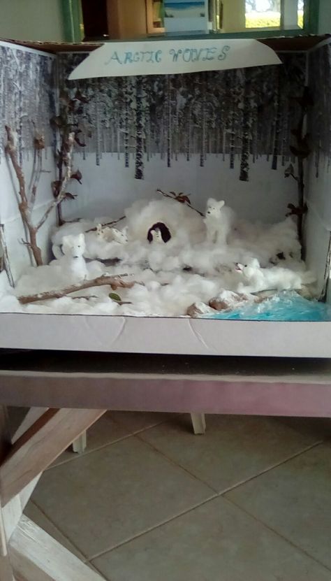 Arctic Fox Diorama, Fox Diorama, Arctic Wolf, Kid Projects, Group Ideas, Arctic Animals, Arctic Fox, Story Telling, School Events