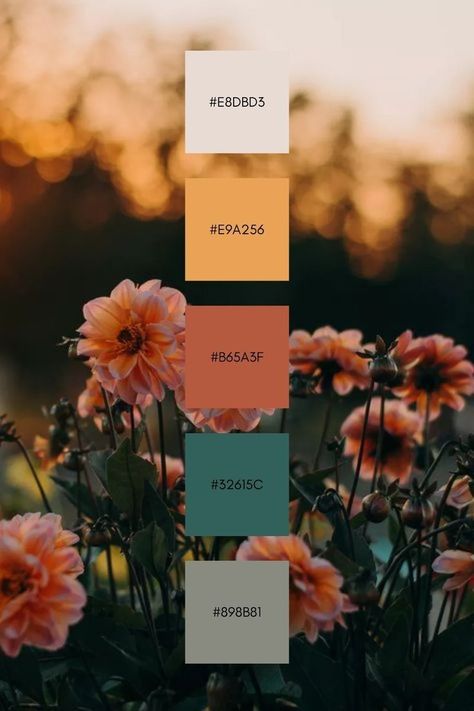 Teal Orange Gold Color Palette, Desert Sunset Color Palette, Blanket Colors, Sunset Color Palette, Wedding Color Pallet, Color Design Inspiration, Gold Color Palettes, Hex Color Palette, Paint Color Inspiration