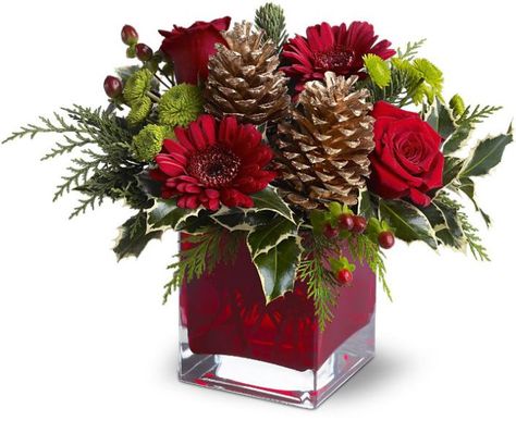 Wild Orchid Des Moines Florist - Des Moines Flower Shops | cozy-christmas Christmas Floral Designs, Christmas Florals, Christmas Centers, Christmas Bouquet, Christmas Flower Arrangements, Christmas Floral Arrangements, Flower Arrangements Simple, Holiday Flower, Holiday Floral