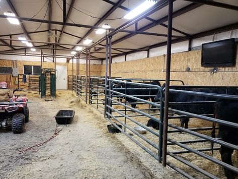 At an angle, the stalls can be divided by small wooden walls/fences. Reindeers could be in the stalls towards the back - only need to draw their upper body and cars can be in the stalls closer to the front. Cow Stall Ideas, Cow Stall, Show Barn Ideas Cattle, Cow Barn Ideas, Cow Barn, Show Cattle Barn Layout, Show Lamb Pens, Cattle Barn Designs, Show Cattle Barn