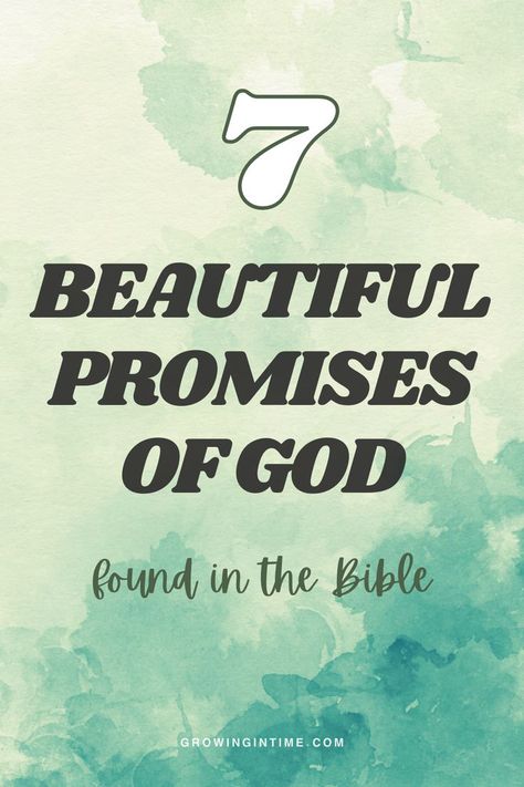 Promises of God God’s Promises To Me, Scripture On God's Promises, Bible Verse About God's Promises, God’s Promises Bible Verse, Gods Promises Verses Scriptures, God’s Promises, Promises Of God Scriptures, Bible Verse For Daughter, Hope Quotes Bible