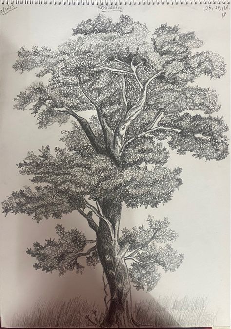 Pencil Shading, How To Shade, Shade Trees, Trees, Pencil, Shades, Quick Saves