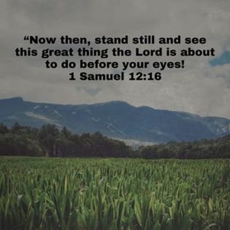 Bible Verses First Samuel 12:16 1 Samuel 12:16, Samuel Bible Verse, September Prayer, Bible Studying, Truth Serum, Robert Fuller, Bible Verse Background, Biblical Truths, 1 Samuel