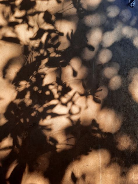 Shadow Play Photography, Light Through Leaves, Light Through Trees, Clara Core, Sunlight Through Trees, 2025 Energy, Leaves Shadow, Shadow Reflection, Shadow Tree