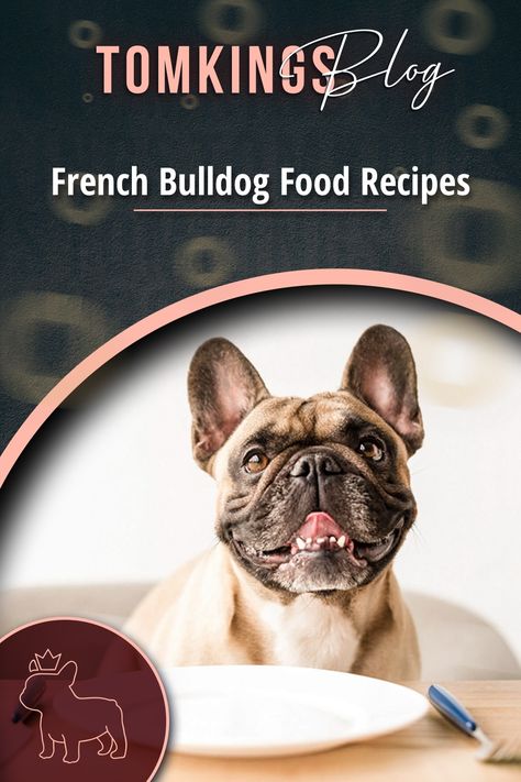 Raw Diet For French Bulldog, Frenchie Homemade Food, Frenchie Dog Food Recipe, Homemade Dog Food For French Bulldogs, French Bulldog Food Recipes Homemade Dog, Frenchie Food Recipe, French Bulldog Food Recipes, Bulldog Recipe, Healthy Dog Biscuits