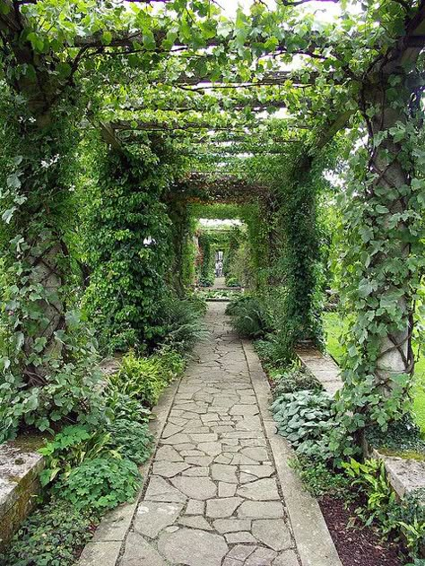 Want these english ivy vines on a pergola, archway, etc.  i've got so much of this stuff and it grows/spreads like crazy...need more places like this for it...or for some of you to come over for some clippings :) Pergola Walkway, Small Pergola, Garden Vines, Stone Walkway, Garden Arbor, Meteor Garden 2018, Backyard Pergola, Magic Garden, Covered Pergola