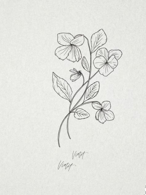 Wood Violet Drawing, Blue Violet Tattoo Black And White, Violet Drawing Tattoo, Violet Stamp Tattoo, Violets Tattoo Flower, Tattoo Of Violets, Violet Vine Tattoo, Violet Flower Bouquet Tattoo, Violet Flower Line Drawing