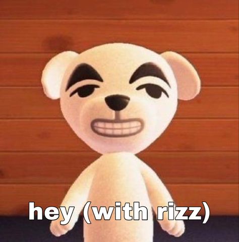 Kk Animal Crossing, Kk Slider Icon, Acnh Pfps, Animal Crossing Matching Pfp, Animal Crossing Pfp, Sibling Things, Kk Slider, Animal Crossing Cats, Chan Skz