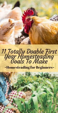 Homesteading For Beginners, Homestead Projects, Homestead Lifestyle, Homesteading Tips, Raising Chicken, Hobby Farming, Land Ownership, Homestead Life, Chicken Keeping