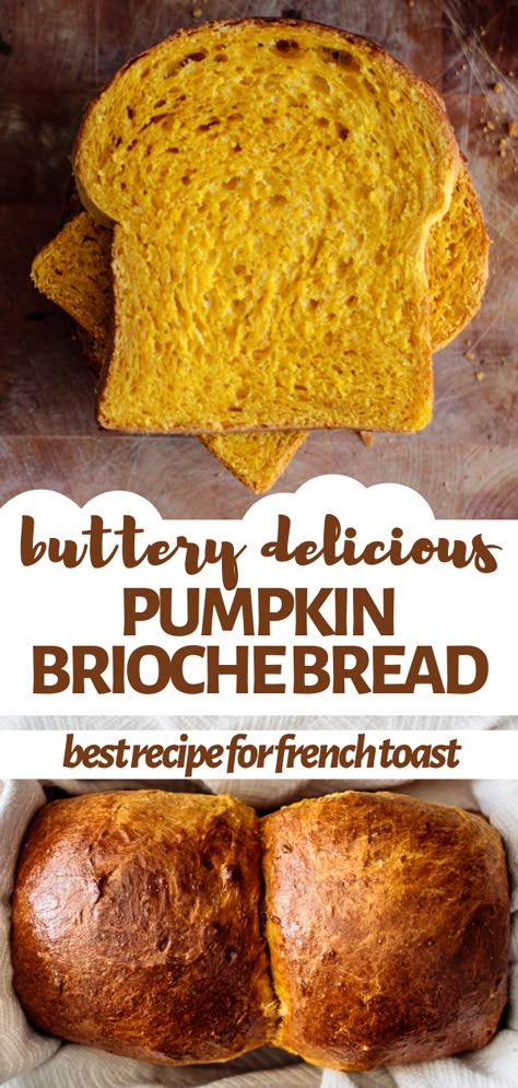 Pumpkin Bread Yeast, Pumpkin Bread Sandwich, Pumpkin Bread With Yeast, Pumpkin Yeast Bread Machine, Yeasted Pumpkin Bread, Pumpkin Artisan Bread, Great Harvest Bread Company Recipes, Pumpkin Bread Machine Recipes, Pumpkin Bread Bread Machine