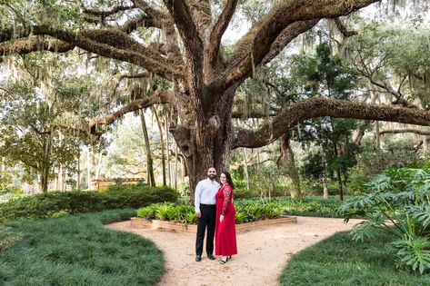 Engagement Picture Locations, Gardens Engagement Photos, Palm Coast Florida, Orlando Photos, Engagement Photo Locations, Palm Coast, Orlando Wedding, Garden Features, Photo Location