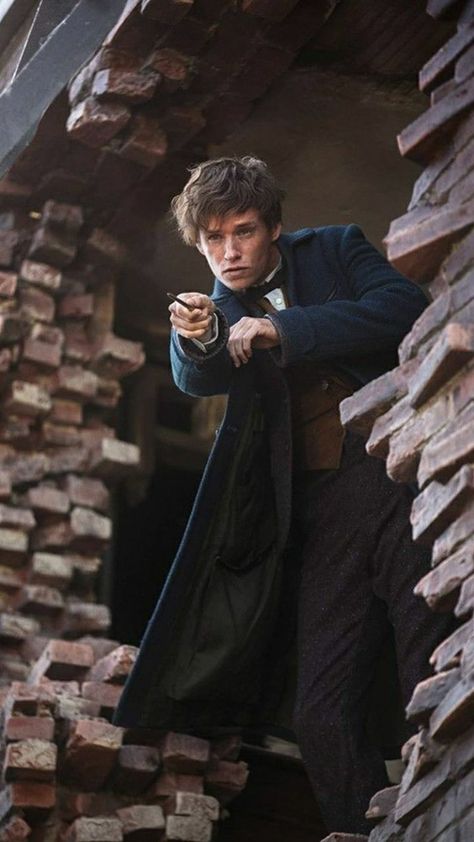 Newt Scamander Wallpaper, Fantastic Beasts Series, Queenie Goldstein, Fit Guys, Hufflepuff Aesthetic, Crimes Of Grindelwald, Newt Scamander, Eddie Redmayne, Fantastic Beasts And Where