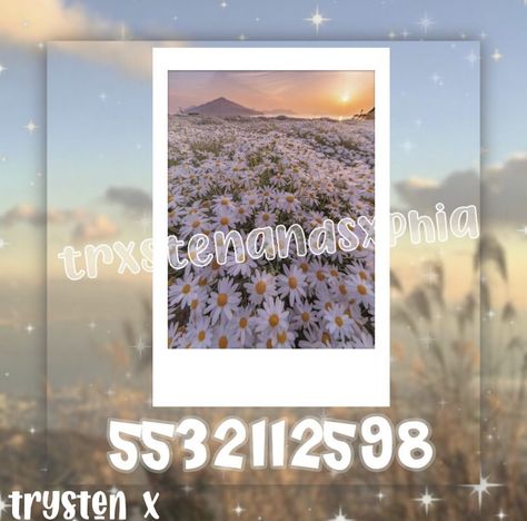 Bloxburg Polaroid Decal Codes, Polaroid Pictures Bloxburg Codes, Roblox Polaroid Decals, Room Decals Berry Ave, Berry Avnue Picture Codes, Blocburg Picture Decal, Bloxburg Id Codes For Pictures Meme, Pic Code, Roblox Image Ids