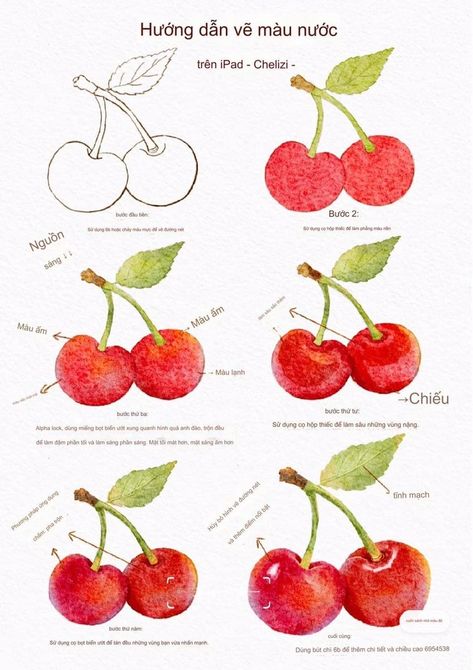 Cherry Watercolor Painting, Cherry Watercolor, Food Art Painting, Fruits Drawing, Flower Drawing Tutorials, Pastel Sec, Watercolor Food, Watercolor Paintings For Beginners, Watercolor Fruit