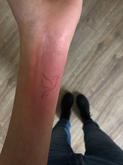 Red Bird Outline Tattoo, Red Dove Tattoo, Minimalist Red Tattoo Aesthetic, Cute Cardinal Tattoo, Dainty Dove Tattoo, Pigeon Tattoo Design, Minimalist Red Tattoo, Tattoo Pigeon, Bird Outline Tattoo