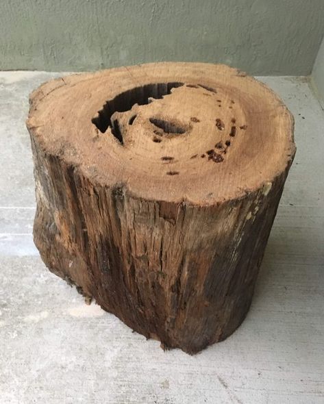 Log End Tables Tree Stumps Diy Wood, Stump Furniture, Stump End Table, Tree Stump Furniture, Tree Stump Coffee Table, Sinker Cypress, Sealing Wood, Tree Stump Decor, Stump Coffee Table