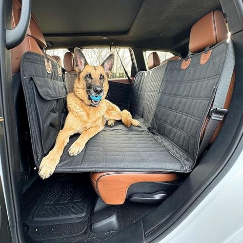 Amazon.com : Dog Back Seat Extender - Waterproof Mesh Platform for Cars, Trucks, SUVs - With Storage Pockets and Door Covers (Black) : Pet Supplies Cat Treadmill, Cat Catio, Dog Boarding Kennels, Boarding Kennels, German Shepherd Training, Dog Car Accessories, Dog Gadgets, Pocket Dog, Dog Seat Belt