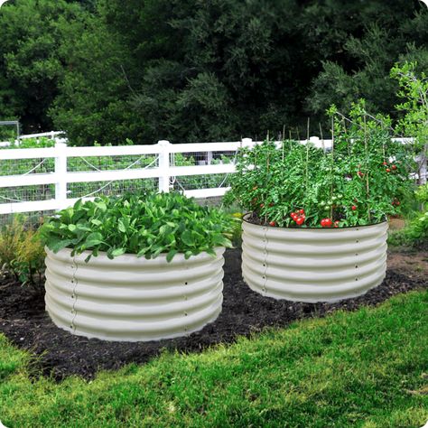 42" Round Metal Raised Garden Beds – Ollegardens Outdoor Raised Garden Beds, Metal Garden Beds, Raised Garden Bed Kits, Diy Garden Bed, Metal Raised Garden Beds, Vegetable Bed, Metal Planter Boxes, Gardening Inspiration, Diy Raised Garden