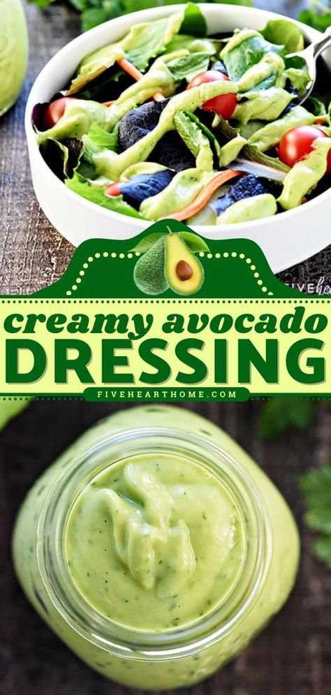 Avocado Dressing, summer salad dressing, sunmmer bbq party ideas Summer Salad Dressing, Dairy Free Salad Dressing, Avocado Dressing Recipe, Dairy Free Dressing, Creamy Cilantro Dressing, Easy Salad Dressing Recipes, Dairy Free Salads, Creamy Avocado Dressing, Avocado Salad Dressing