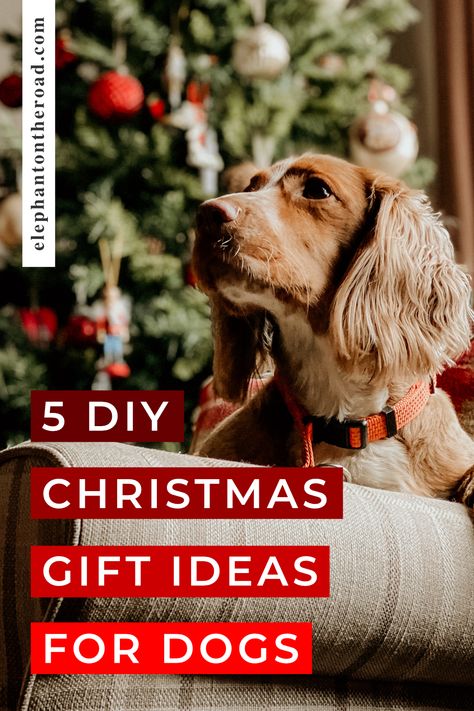 Do you want to include your fur baby into your holiday celebrations and you love crafts? Then you will love these 5 DIY Christmas gift ideas for dogs. 5 DIY Christmas Gift Ideas For Dogs. Gifts For Dogs. Gifts For Pets. Christmas Presents For Dogs. Gift Ideas For Dogs. Gifts For Fur Babies. DIY Projects For Dogs. Crafts For Dogs. Xmas Gift Ideas For Dogs. Elephant on the Road. Dog Xmas Gifts, Dog Christmas Presents, Diy Christmas Gifts Cheap, Dog Presents, Christmas Gifts For Pets, Diy Xmas Gifts, Diy Presents, Dog Christmas Gifts, Dog Crafts