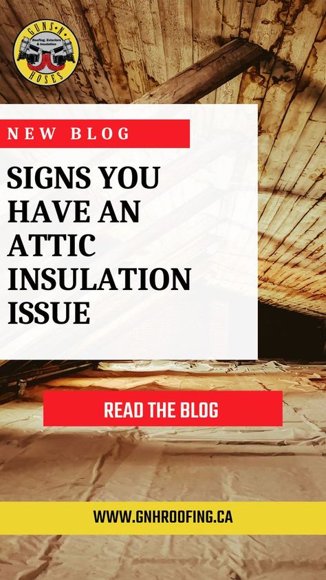 Attic Insulation, Sources Of Heat, Home Insulation, The Attic, News Blog, Insulation, Roof, House Plans, Shed