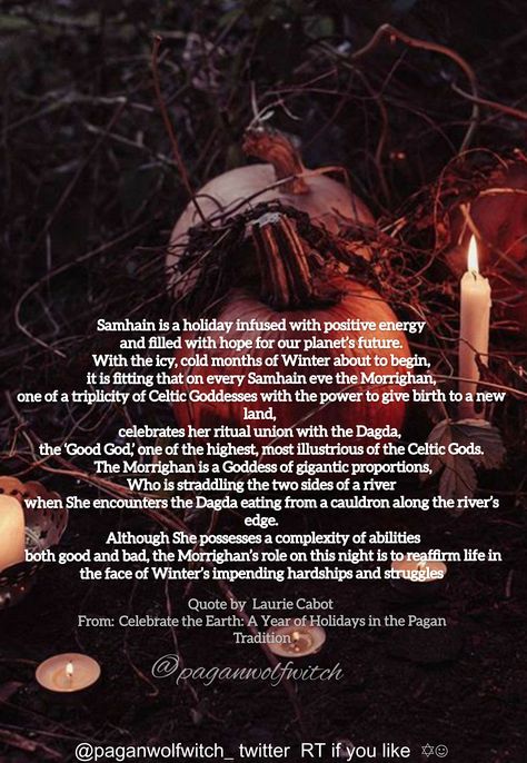 Samhain Quotes by Famous Witches Laurie Cabot #witchcraft #halloween #samhain Samhain Quotes, Laurie Cabot, Famous Witches, Witchcraft Halloween, Celtic Gods, Celtic Goddess, Fun Quotes, God First, Samhain