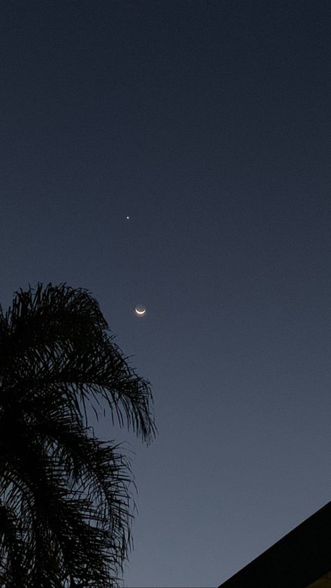 Night Sky, The Moon, Trees, Moon