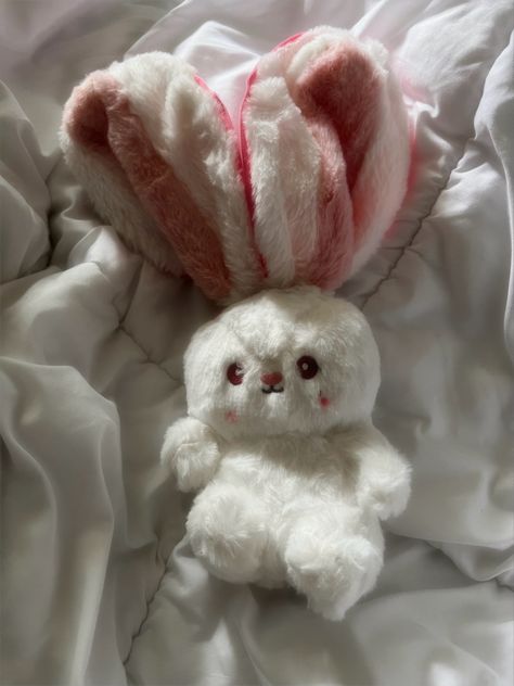 Strawberry Bunny Plush, Bunny Plush Aesthetic, Bunny Plushies, Spring Drawing, Jellycat Stuffed Animals, Rabbit Soft Toy, Cute Squishies, Nice Gifts, Cute Stationary