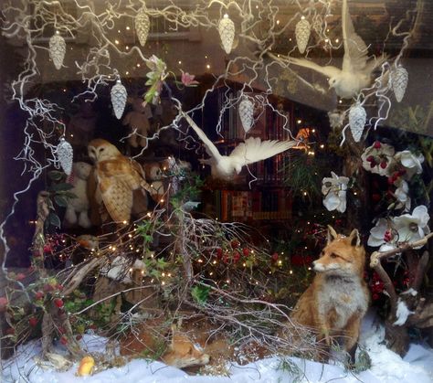 My 2015 Xmas window display - a woodland scene paying homage to the beautiful fox #shop window display #taxidermy #christmas Christmas Woodland Scene, Woodland Christmas Window Display, Winter Woodland Window Display, Woodland Window Display, Xmas Window Display Ideas, Woodland Display, Christmas Window Display Retail, Display Closet, Christmas Store Displays