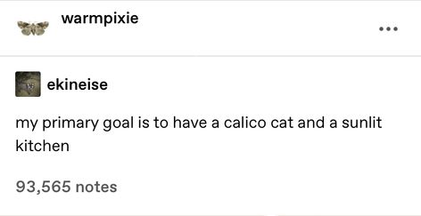 Calico Cat Quotes, Cat Quotes, Calico Cat, Silly Me, Future Life, All I Want, So Me, Tumblr Posts, Literally Me