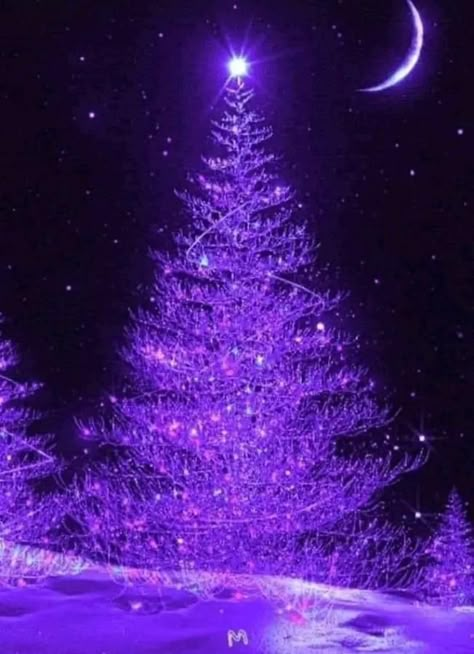 Purple Bookshelves, Purple Santa, Snowflake Wallpaper, Purple Christmas Tree, Christmas Aesthetics, Purple Aesthetic Background, Magical Moon, Dark Purple Wallpaper, Purple Flowers Wallpaper