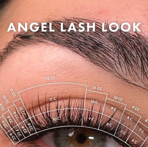 Lash Extension Supplies on Instagram: "SAVE THIS POST 📍📌  Mapping just dropped for this STUNNING angel lashes set by our angel @loredana_londonlashpro 👼🪽🫶  Tag a client below who you want to try this styling on! 👀🤎  #lashmap #lashmapping #lashstyle #londonlash #londonlashpro #eyelashextensions #lashextensions #lashtech #eyelashtechnician #londonlashpro #lashsupplies #lashsupplier" Map Extension Eyelash, Angel Lash Extensions Mapping, Angel Lash Map, Angel Lashes Map, Angel Lashes, Lash Mapping For Downturned Eyes, Angel Lash Extensions, Lash Extentions Maps, Lash Extension Supplies