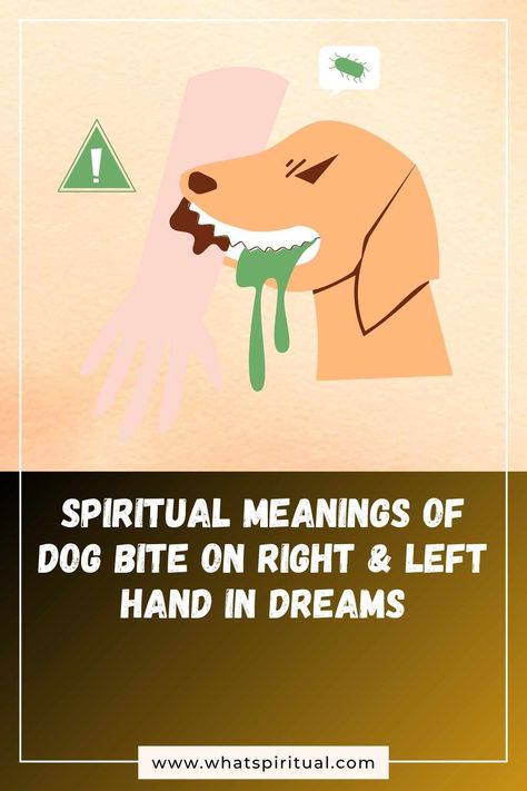 Spiritual Meanings of Dog Bite On Right & Left Hand in Dreams 2 Types Of Dreams, Dog Bite, Masculine Energy, Dream Meanings, Wake Up Call, Dog Biting, Spiritual Meaning, Subconscious Mind, Left Handed