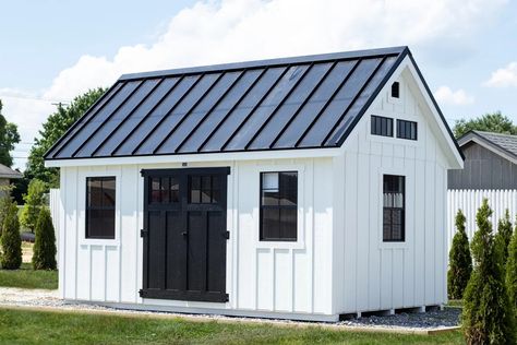 14x24 Shed Plans, White Shed Black Trim, Tuff Shed Office, Black Doors White Trim, Shed With Overhang, Farmhouse She Shed, 10x16 Shed, T111 Siding, Painted Shutters