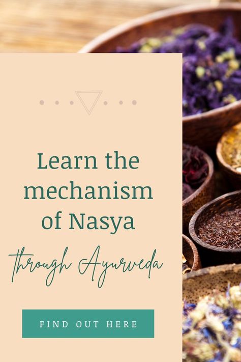 Nasya is a Sanskrit word that means “related to nose”. Nasya is the application of oil drops in the nose. It lubricates and protects the nasal passages from airborne irritants and germs, soothes and cleanses the tissues, promotes awareness & concentration, helps relieve sinus congestion, tension headaches & balances the three doshas (Vata, Pitta & Kapha). How does the mechanism of nasya work? Click to find out. #ayurveda #ayurvedalifestyle #healthyliving #mindfulliving #ayurvedacourse Nasya Oil, Vata Pitta Kapha, Relieve Sinus Congestion, Pitta Kapha, Vata Pitta, Ayurveda Recipes, Sinus Congestion, Holistic Health Coach, Nasal Passages