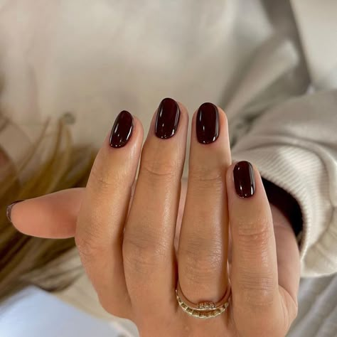 Fall Nude Nails, Red Black Nails, Shellac Nails Fall, Short Oval Nails, Kutek Disney, Dark Red Nails, Wine Nails, Nagel Tips, Smink Inspiration