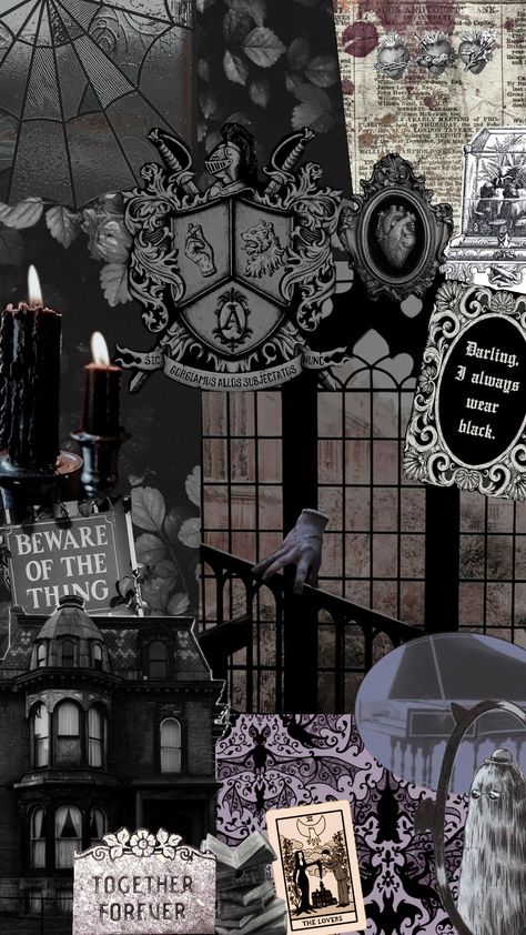 addams family Morticia Addams Aesthetic Wallpaper, The Addams Family Aesthetic, Addams Family Broadway, Addams Family Film, Morticia And Gomez Addams, Addams Family Values, Gomez Addams, Morticia Addams, Adams Family