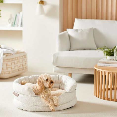 Pet Bed Furniture, Stylish Dog Beds, Pet Cushions, Puppy Supplies, Towels Kids, Girl’s Room, Natural Home Decor, Bedroom Collection, Flipping Furniture