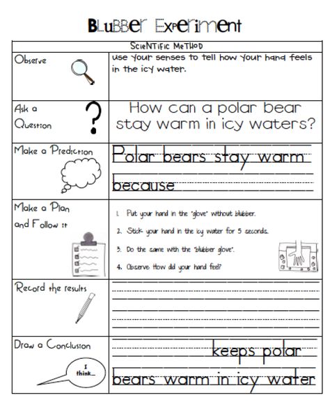 Polar Bear blubber experiment Blubber Experiment, Polar Bear Unit, Polar Bears Activities, Winter Science, Nature School, Reading Street, Kid Experiments, Teaching Inspiration, Science Curriculum