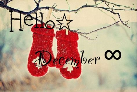 Hello december Hello December Tumblr, December Tumblr, Hello December Pictures, Hallo November, December Hello, Hello December Images, December Images, December Pictures, Morning Christmas