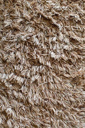 Clean A Shag Rug, Clean Shag Rug, Area Rugs Diy, Guys Room Aesthetic, Bissell Carpet Cleaner, White Shag Rug, Carpet Cleaner Homemade, Dark Carpet, Carpet Trends