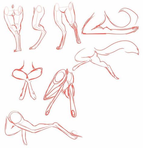 Animal legs رسم كاريكاتير, Different Poses, Concept Art Drawing, Anatomy Drawing, Poses References, Figure Drawing Reference, Anatomy Reference, The Zoo, Anatomy Art