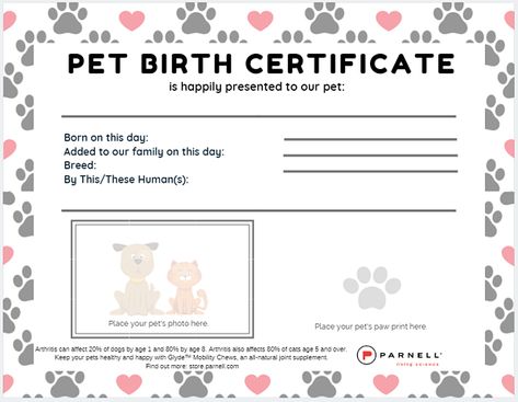 Thanks for Downloading our 2019 Pet Birth Certificate - Parnell Living Science Dog Birth Certificate, Pet Birth Certificate, Puppy Birth Certificate, Birth Certificate Form, Pet Care Printables, Cat Birth, Birth Certificate Online, Dog Breeding Business, Whelping Puppies